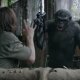 War Breaks Out in 'Dawn of the Planet of the Apes' Final Trailer