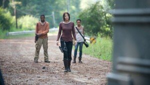 The Walking Dead Season 4 Episode 13 "Alone"