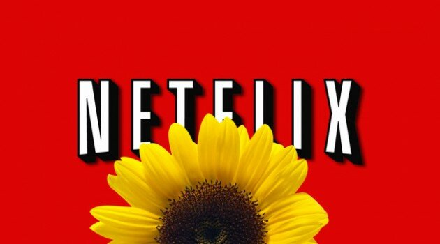 Netflix Logo with Sunfower
