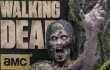 The Walking Dead Season 4 Special Edition Blu-ray DVD