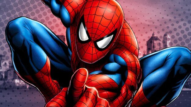 Spider-Man Comic Book Costume