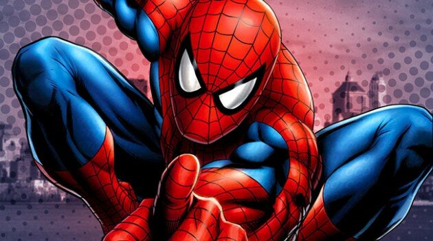 Spider-Man Comic Book Costume