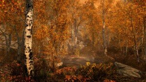 skyrim-fall-forest
